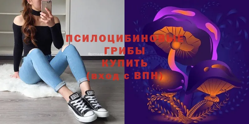 Псилоцибиновые грибы Magic Shrooms  Димитровград 